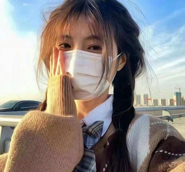 蝙蝠侠:神秘的女蝙蝠侠